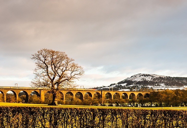 Viaduct and Bosley Cloud - Cheshire Countryside