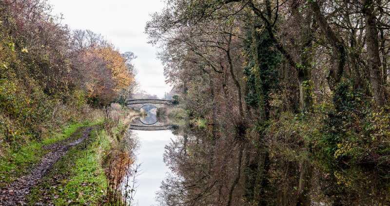 Towards Bridge 83, Macclesfield Canal - Bridges 81 to 90