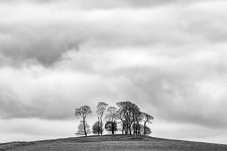 Copse near Alstonefield - Other locations