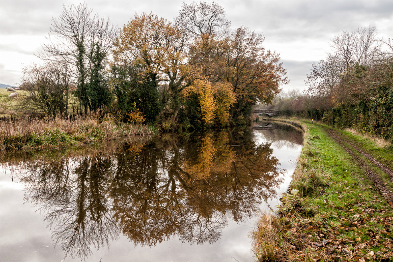 Towards Bridge 81, Macclesfield Canal - Bridges 81 to 90