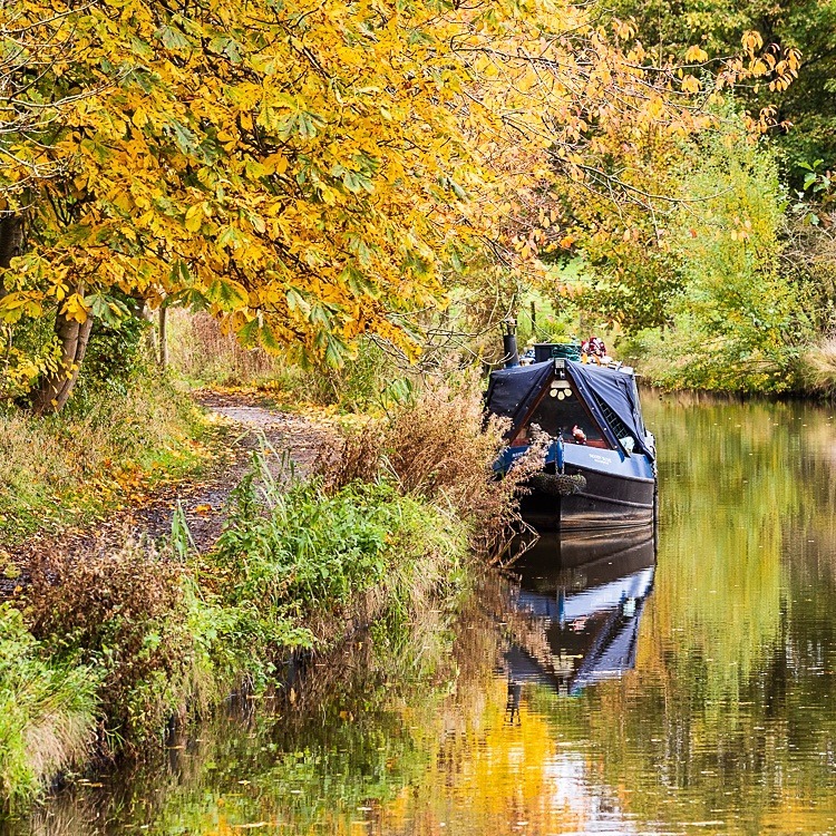 Macclesfield Canal between Bridges 28 and 29 (3) - Bridges 21 to 30