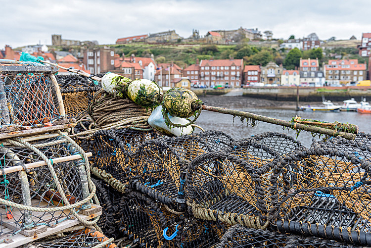 Lobster pots at Whitby Harbour (1) - Around Whitby