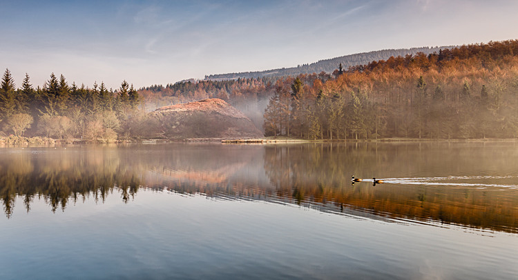 Misty reflections on Trentabank (1) - The Langley Reservoirs