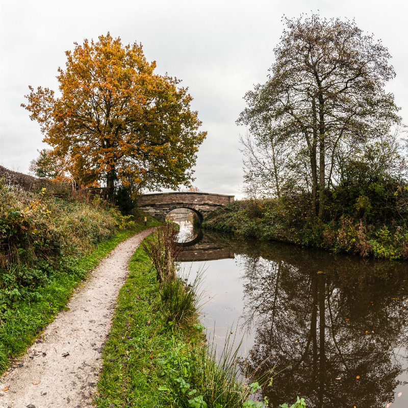 Bridge 89 (Morris's), Macclesfield Canal - Bridges 81 to 90