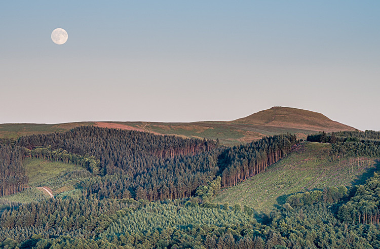 Moon over Shutlingsloe - Shutlingsloe