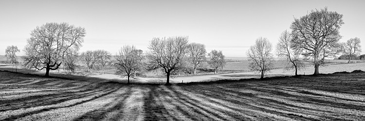 Tree shadows, near Youlgrave - Other locations