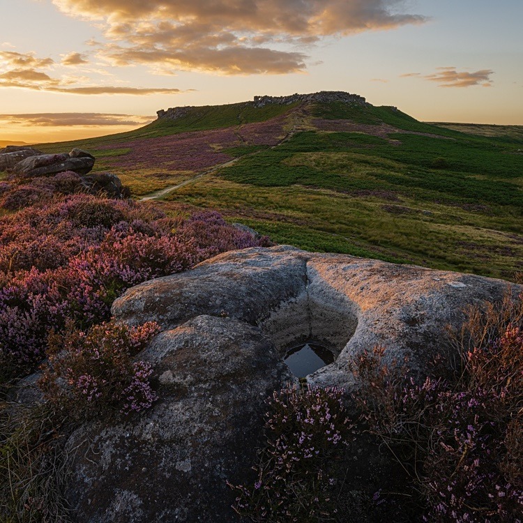 Heather on Carl Wark (3) - Other locations