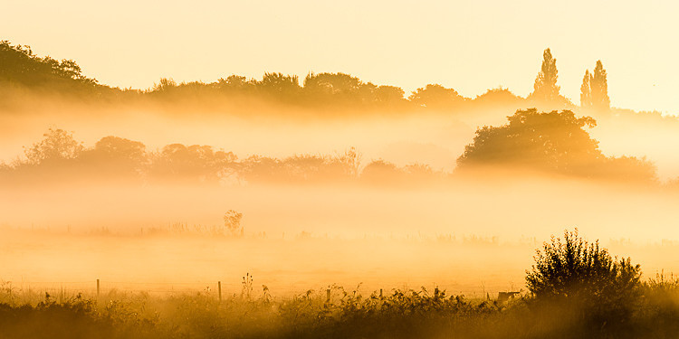 Early morning mist near Wimbourne Minster (2) - Dorset