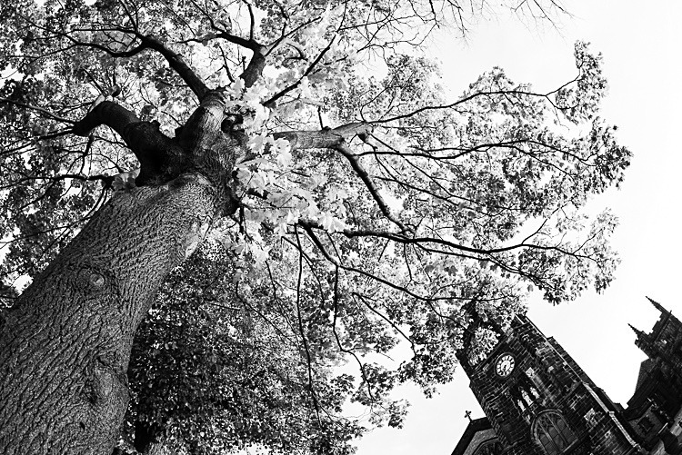 St Michael's church yard (2) - Macclesfield Town