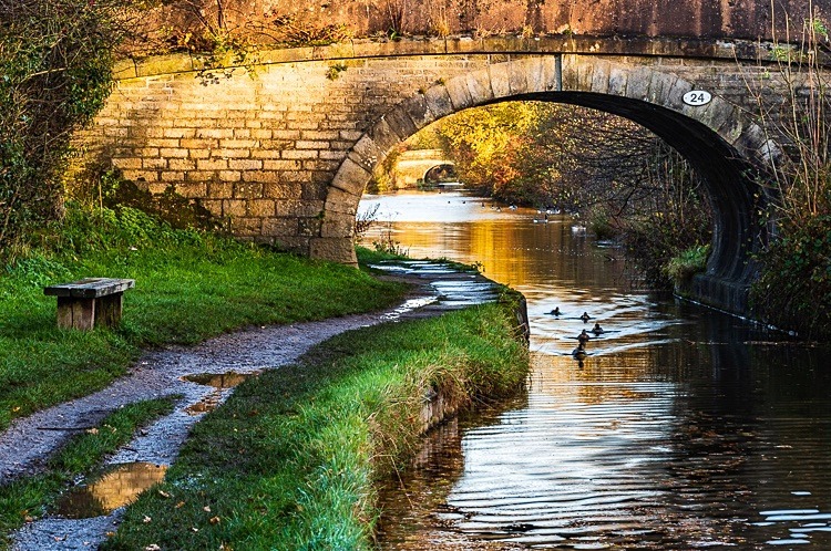 Bridge 24 (Snape's), Macclesfield Canal (3) - Bridges 21 to 30