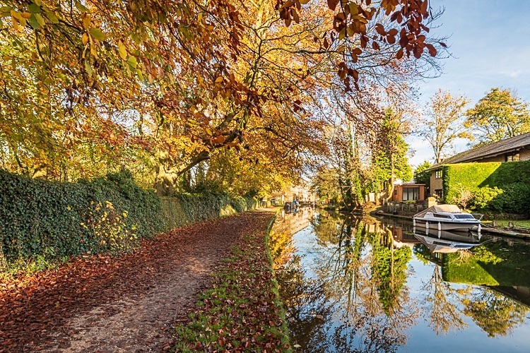 Between Bridges 27 and 28, Macclesfield Canal (2) - Bridges 21 to 30