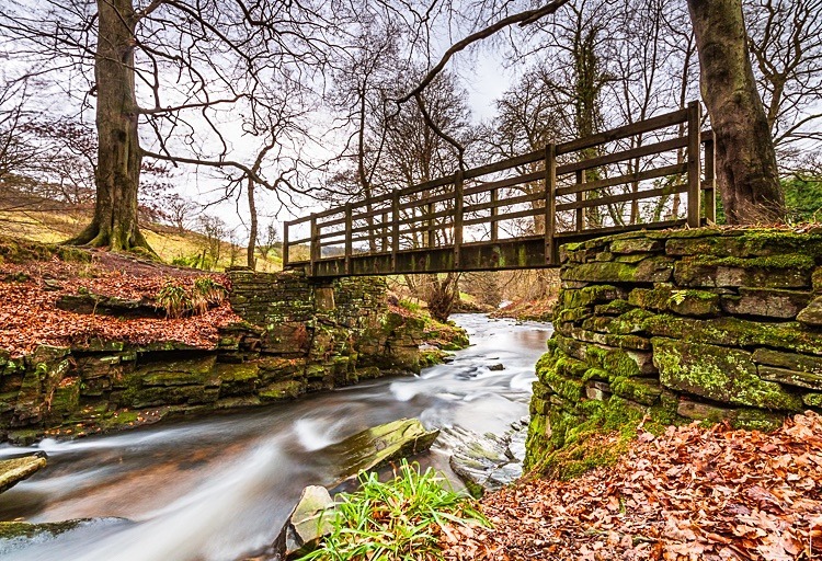 Clough Brook, Wildboarclough - Macclesfield Countryside
