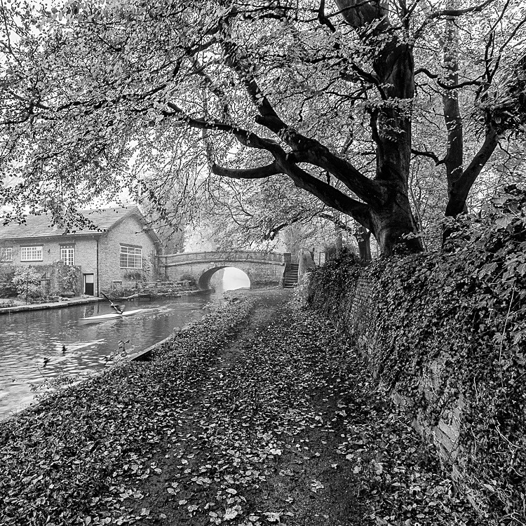 Bridge 28, Macc Canal - Macclesfield Countryside