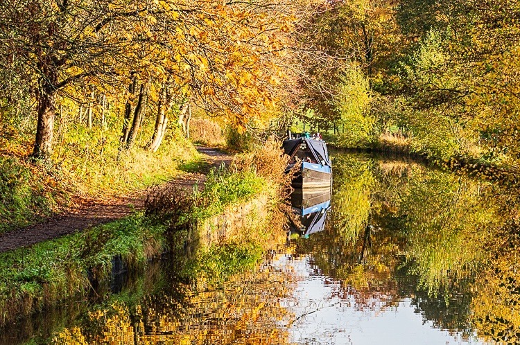 Macclesfield Canal between Bridges 28 and 29 (4) - Bridges 21 to 30