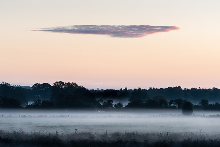 Early morning mist near Wimbourne Minster (1) - Dorset