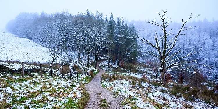 Path through Macclesfield Forest (4) - Around Macclesfield Forest