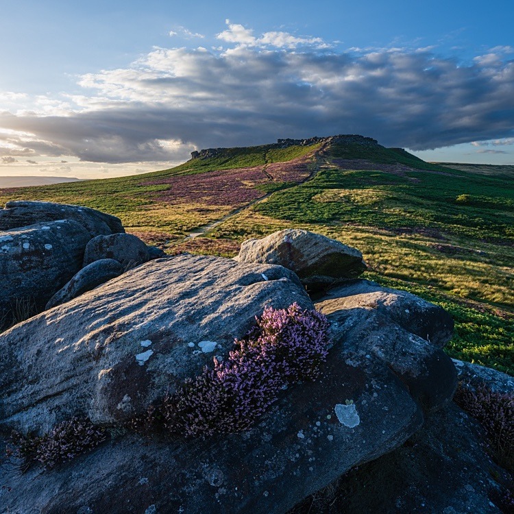 Heather on Carl Wark (2) - Other locations