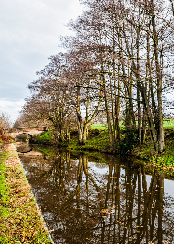 Bridge 64 (Pearson's), Macclesfield Canal - Bridges 61 to 70