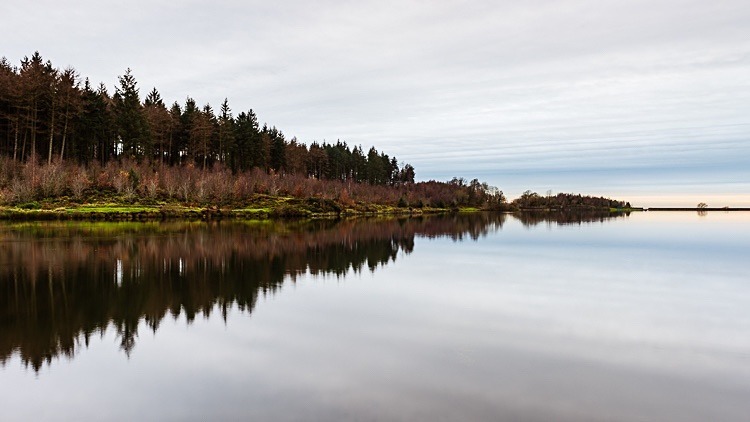 Reflections in Ridgegate reservoir - The Langley Reservoirs