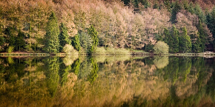 Trentabank reservoir reflections (3) - Macclesfield Countryside