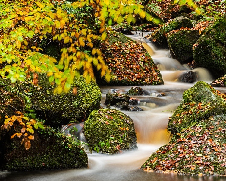 Wyming Brook (1) - Peak District