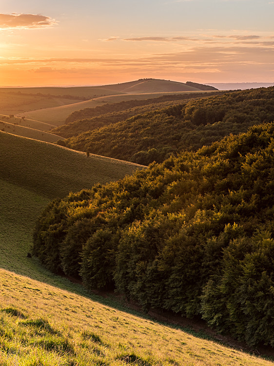 Melbury Down near Shaftesbury (3) - Dorset