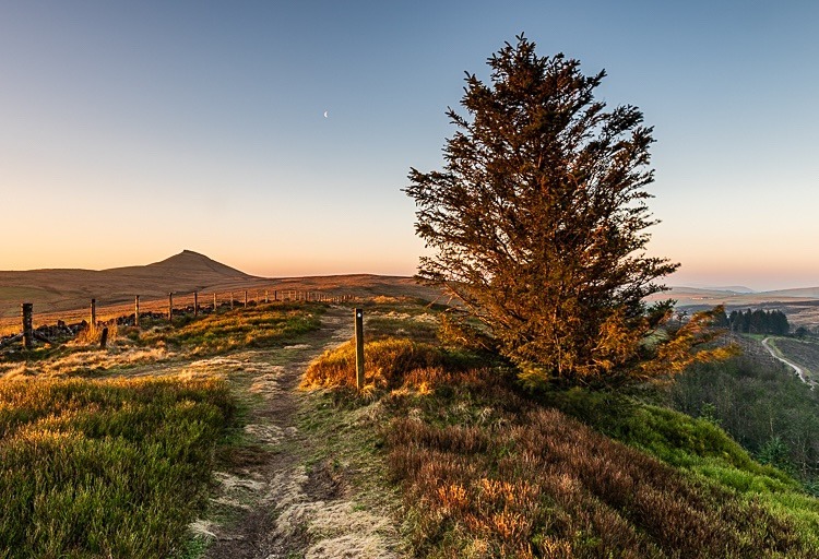 Path to Shutlingsloe (2) - Shutlingsloe