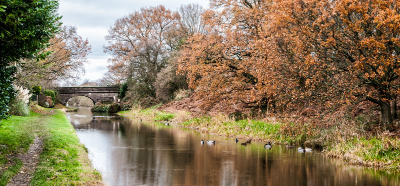 Towards Bridge 67, Macclesfield Canal (1) - Bridges 61 to 70