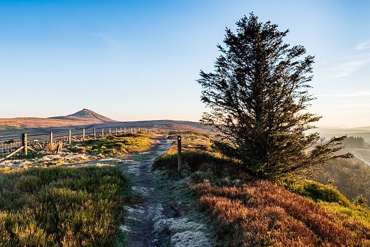 Path to Shutlingsloe (1) - Shutlingsloe