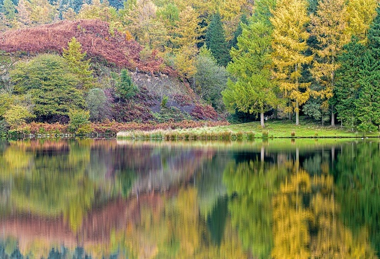 Trentabank reservoir reflections (1) - Macclesfield Countryside