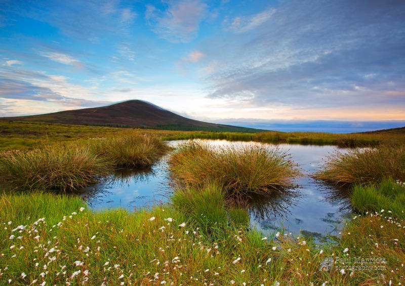 Summer at South Barrule - Isle of Man Landscapes
