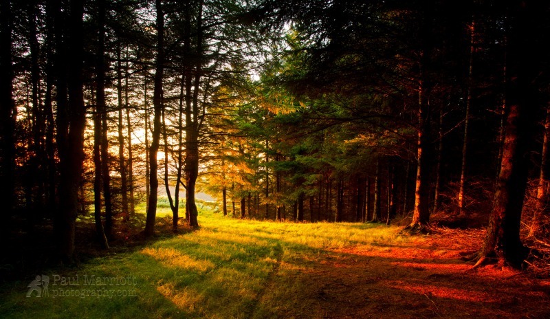 The Light - Isle of Man Landscapes