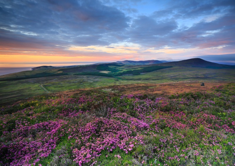 Cronk Ny Arrey Laa Sunset - Isle of Man Landscapes