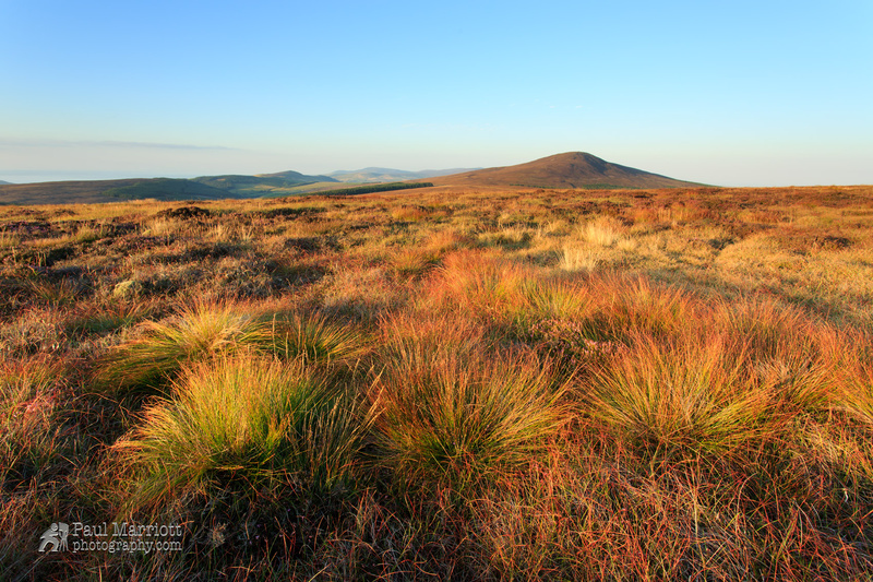 The Golden Hour - Isle of Man Landscapes