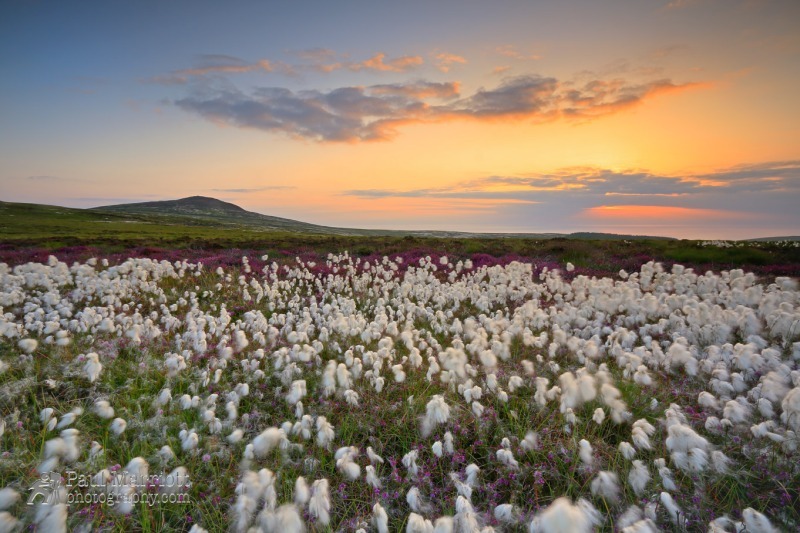 Cronk Ny Arrey Laa Summer Sunset - Isle of Man Landscapes