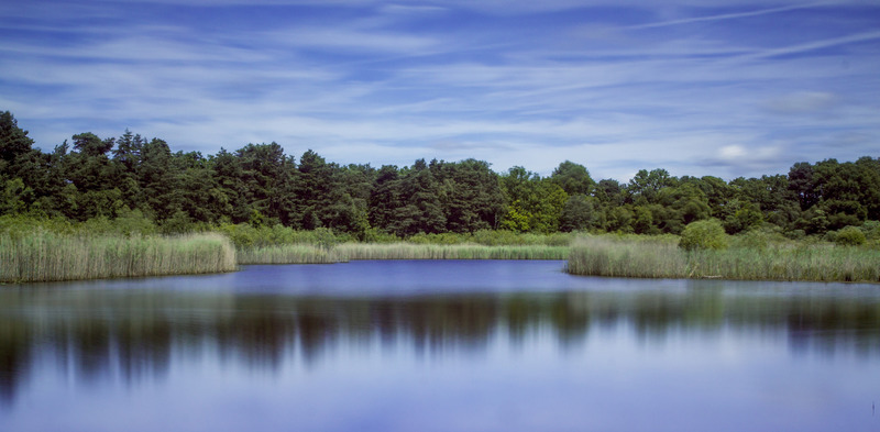 Englemere Pond2 - Bracknell Forest Council Photography Competition