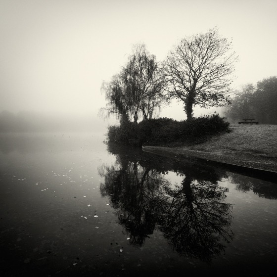 Lakeside
