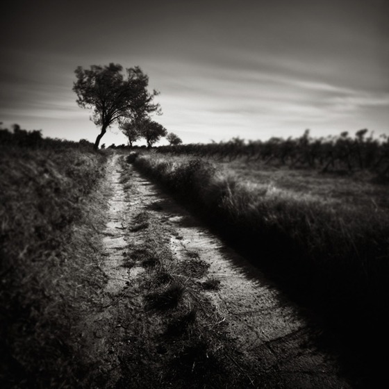 Dirt Track