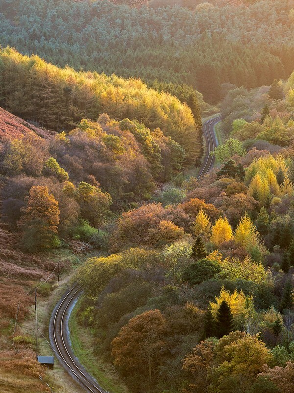 Railway - North York Moors