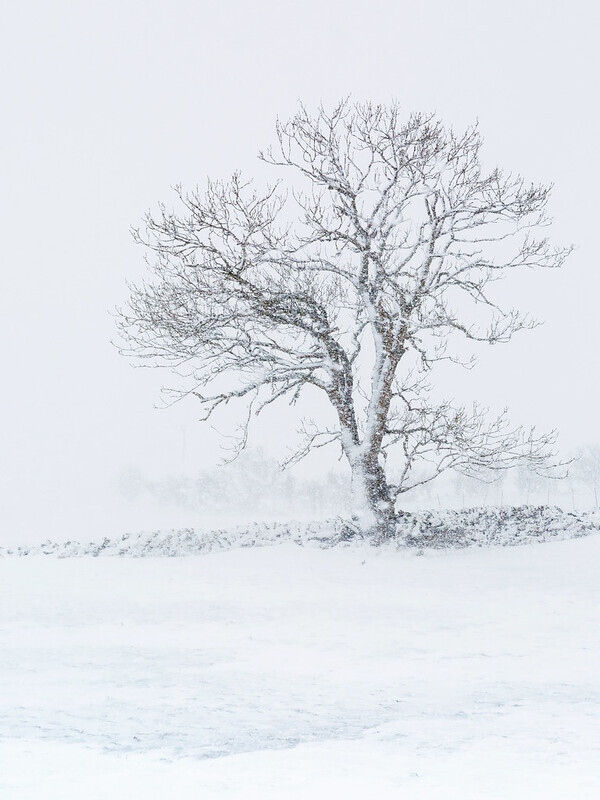 Minimalist Snow - Yorkshire Dales