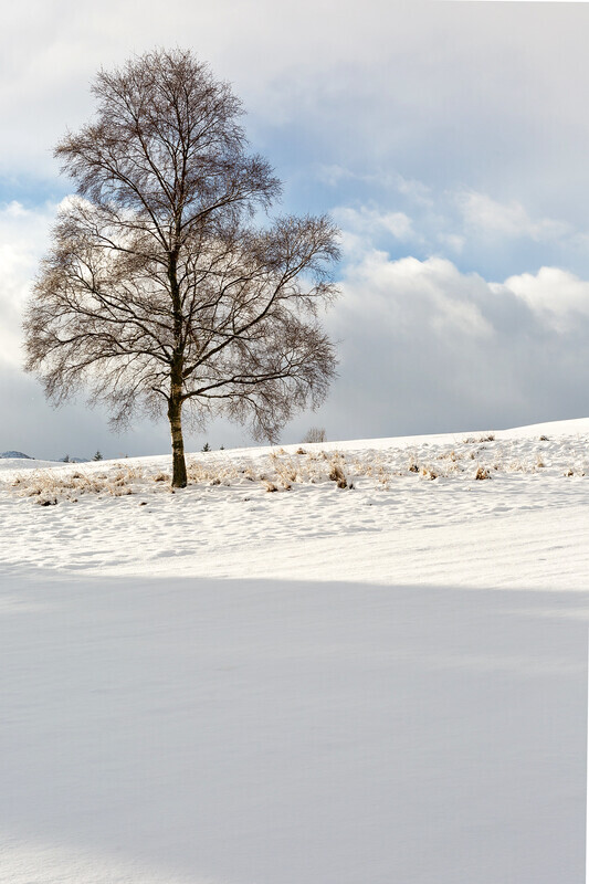 Perfect Snow - Scotland
