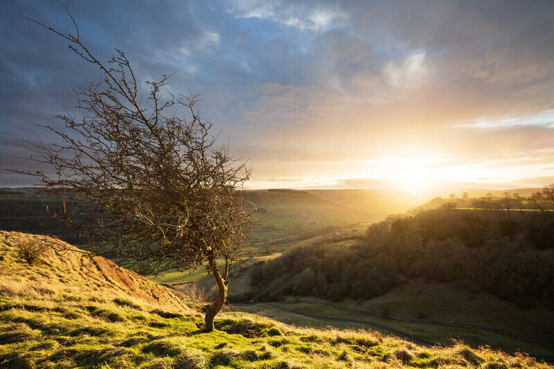 Deepdale Sunset - Richmond