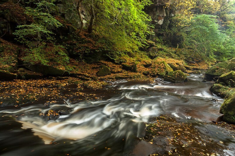 Thomason Foss - North York Moors