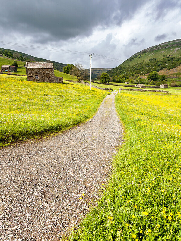 Muker In Bloom - Yorkshire Dales