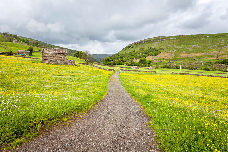 Muker Meadows - Yorkshire Dales
