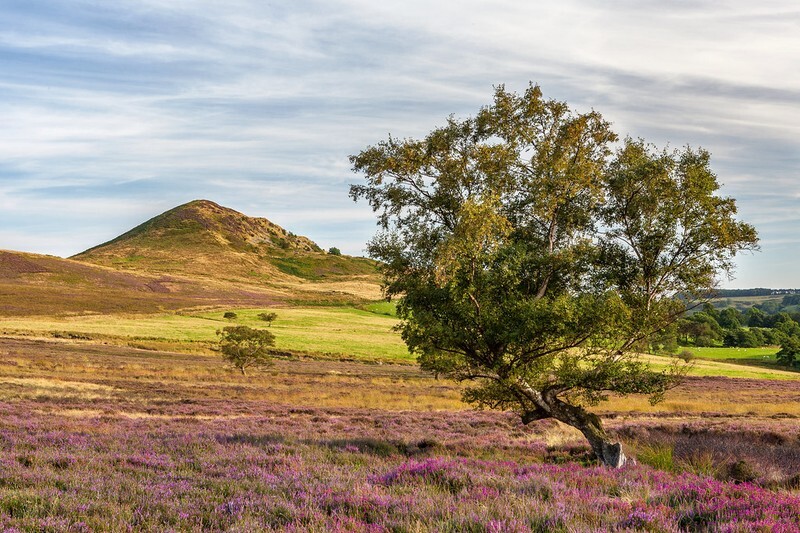 Hawnby Moor - North York Moors