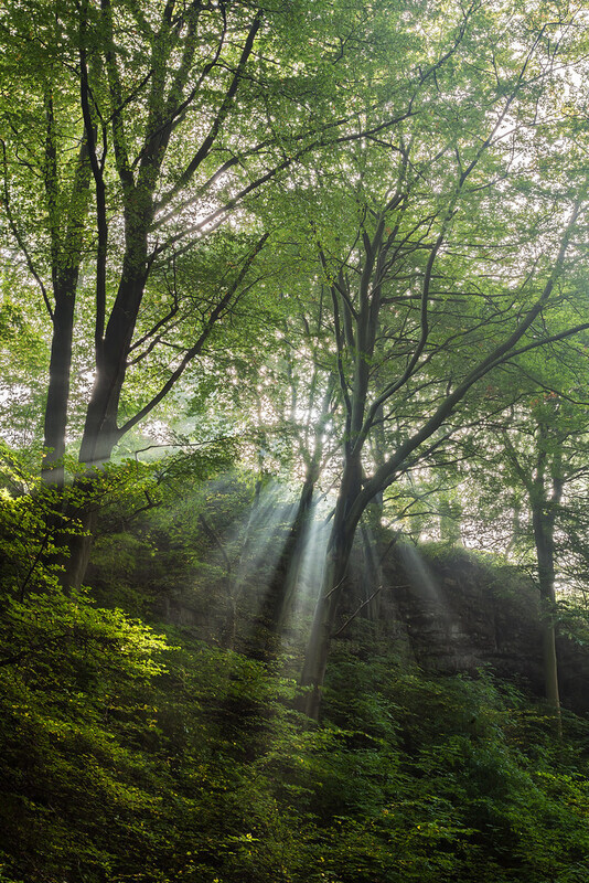 Light - Yorkshire Dales