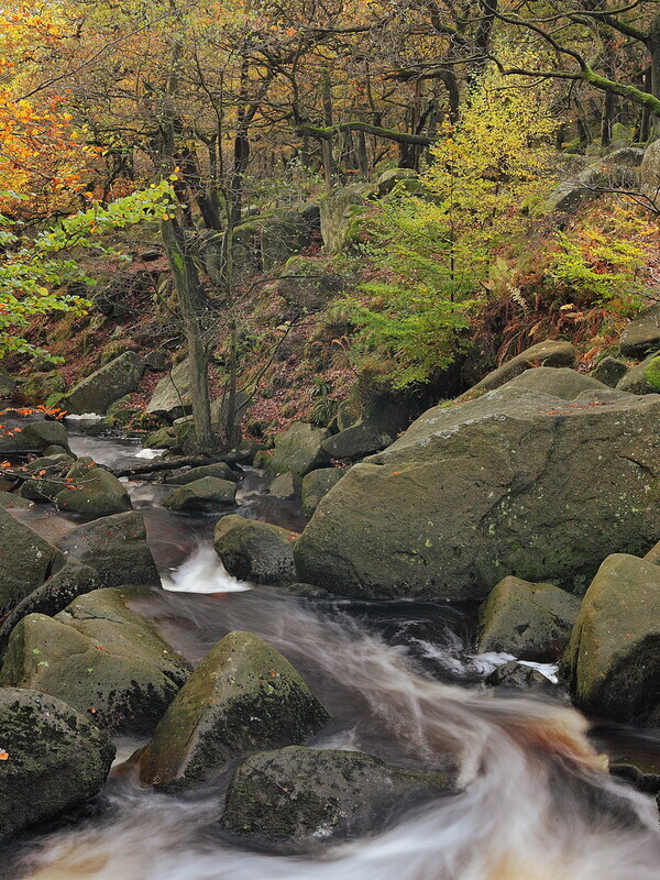 Padley Gorge Autumn - Peak District