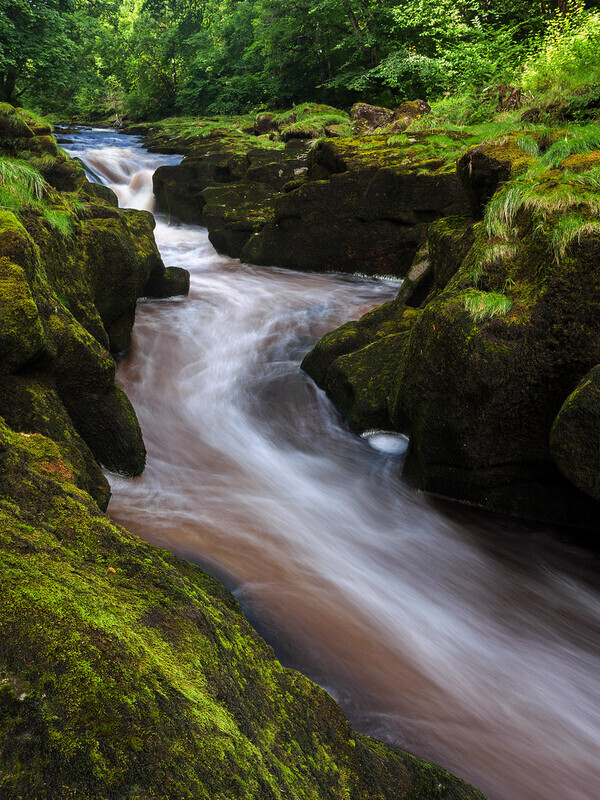 The Strid - Yorkshire Dales