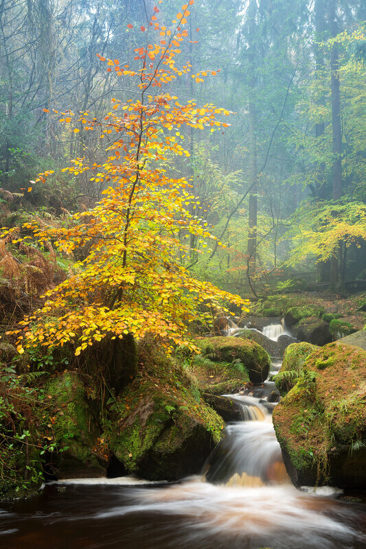 Wyming  Brook - Peak District